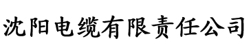 youku.com电缆厂logo